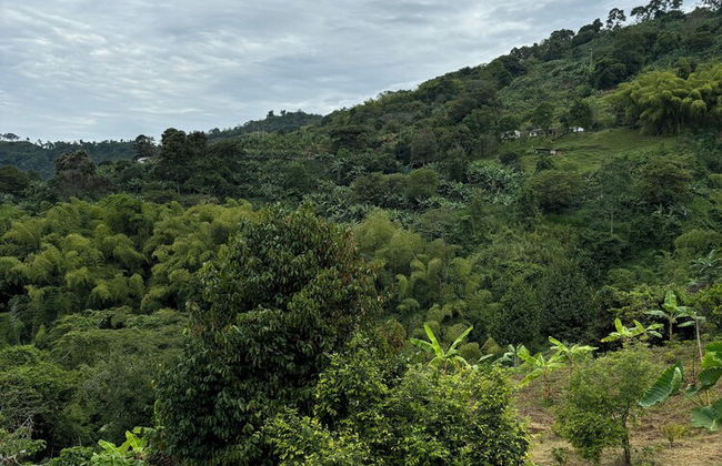 Finca La Macarena by Welttisch - Foto 32