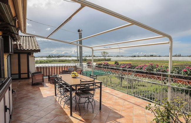 Il Cavalluccio Marino - Foto 15