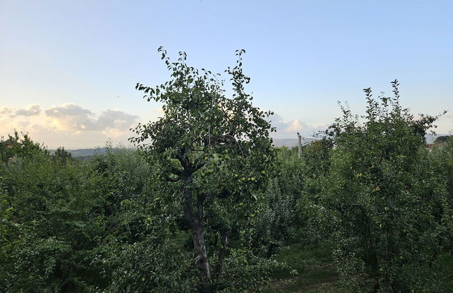 Teona Kartepe Bungalov - Foto 22