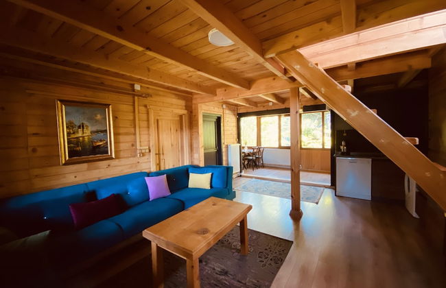 Villa Gencal Ayder - Foto 48