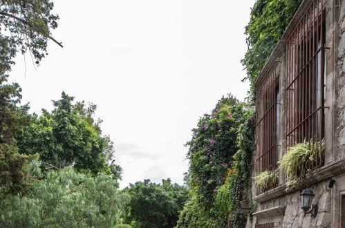 Photo 73 - Beautiful Newly Renovated House in the Center of San Miguel