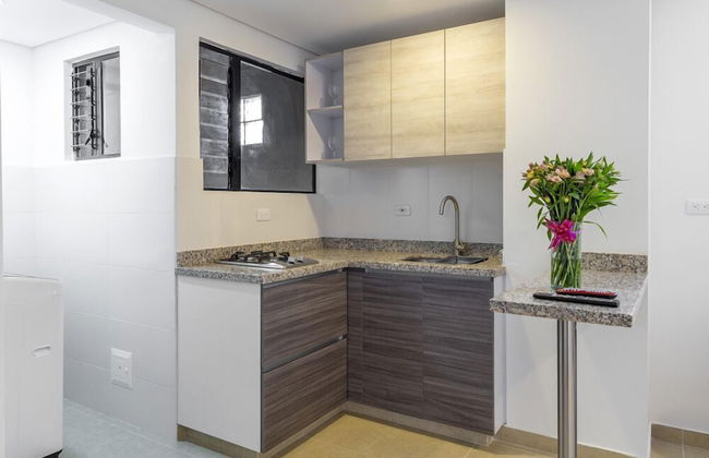 APARTASUITE PLAZA PREMIUM - Foto 13