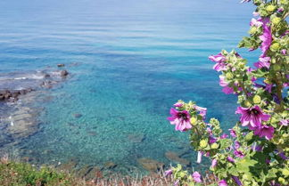 Foto 3 - Welcomely - La Terrazza sul Mare