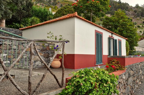 Photo 2 - Cicas Studio a Home in Madeira