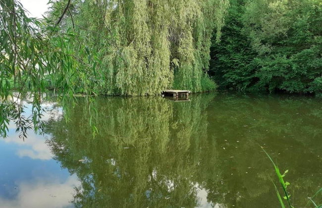 Holiday Home With Parking - Photo 24