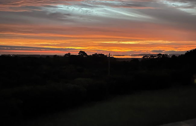 La Picarona - Photo 46