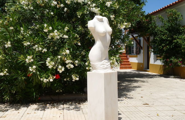 MirArte - Foto 64