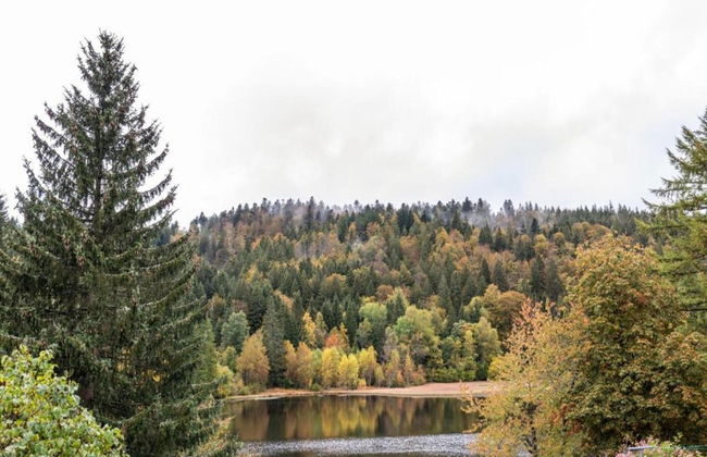 Apartment for 2 Adults & 2 Children near Ski Resort in Black Forest - Foto 35