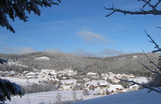 Apartment for 2 Adults & 2 Children near Ski Resort in Black Forest - Foto 36