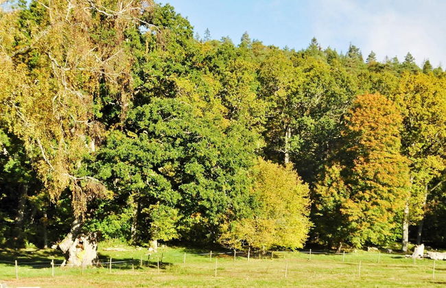Holiday Home in Vargön - Foto 18
