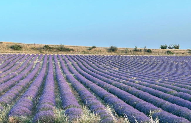 A Beautiful 2 Persons Studio in a Chateau With Swimming Pool - Foto 78