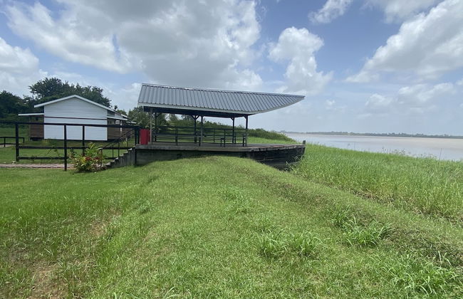 Koffiemama Tree B&B - Foto 12