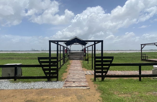 Koffiemama Tree B&B - Foto 13