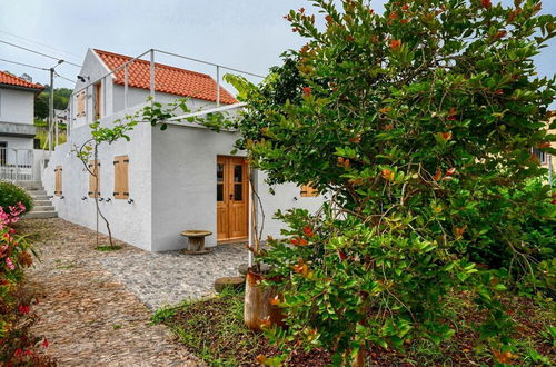 Photo 37 - O Lagar do Avo a Home in Madeira