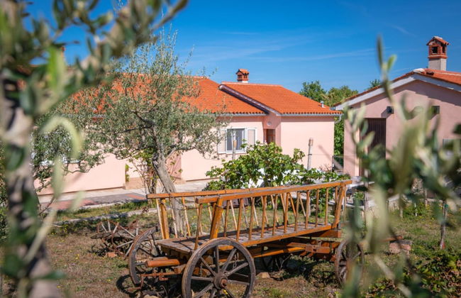 Villa Sabina - Breg Ivanovci - Foto 39