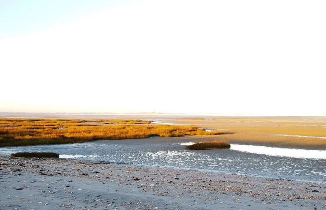 Spacious Apartment With Garden - Foto 7