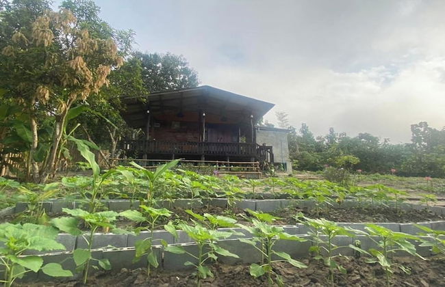 Nokkamin Home Chiang Dao - Foto 32