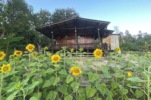 Foto 41 - Nokkamin Home Chiang Dao