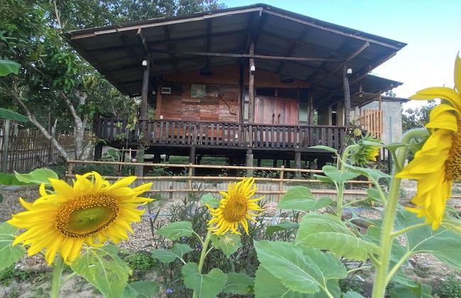 Nokkamin Home Chiang Dao - Foto 40