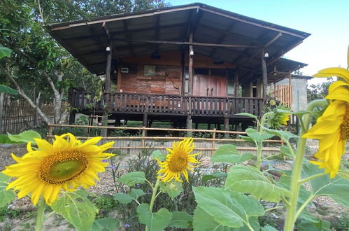 Photo 40 - Nokkamin Home Chiang Dao