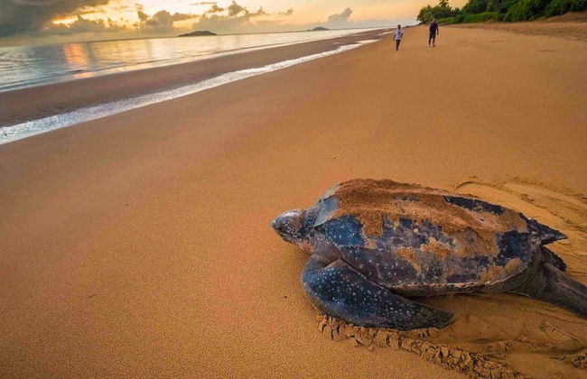 Sweet Dreams Bourda - Sérénité & Piscine - Foto 68