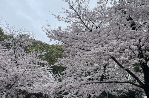 Photo 39 - Sapporo-ENJU Hiragishi House