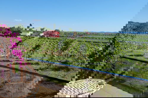 Photo 53 - Lahuta e Vjetër Agroturizëm