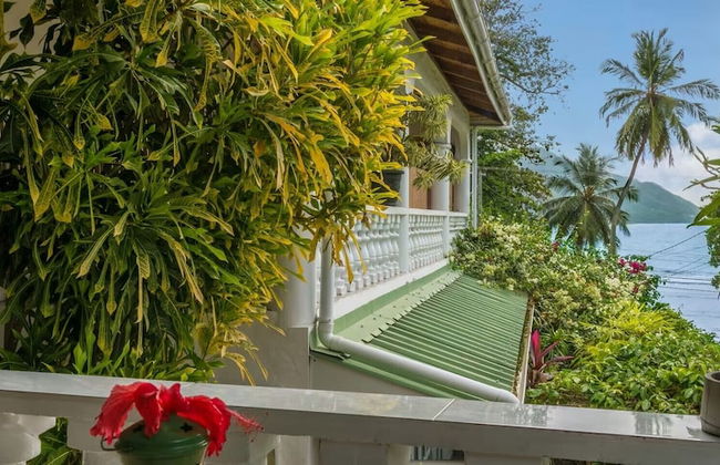 Beau Bamboo - Foto 14