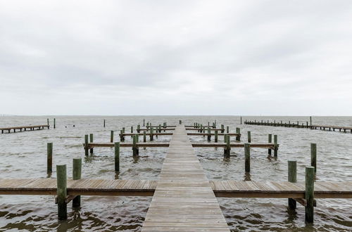 Photo 5 - Fins and Feathers - on the Water With Bay Views