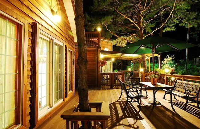 Castel on the hill pension - Photo 43