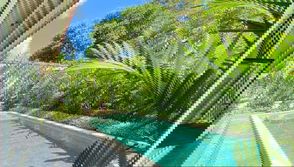 Imagem principal
