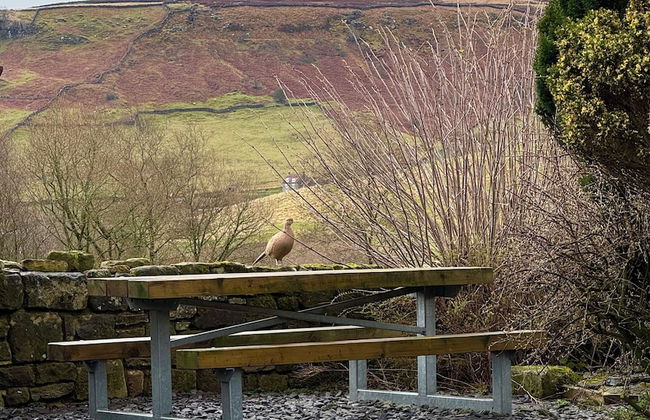 Craven Garth Cottages - Foto 13