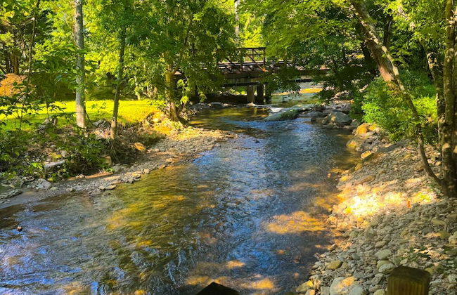 Cozy Creek Cottages - Photo 44