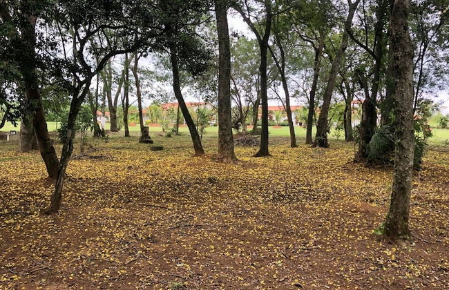 Cinematográfico, Encantador e Paradisíaco - Foto 68