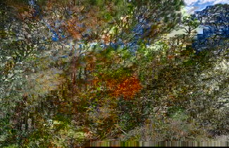 Photo 3 - Minutes2beaches