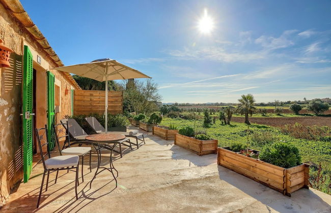Finca Son Valls - Foto 21