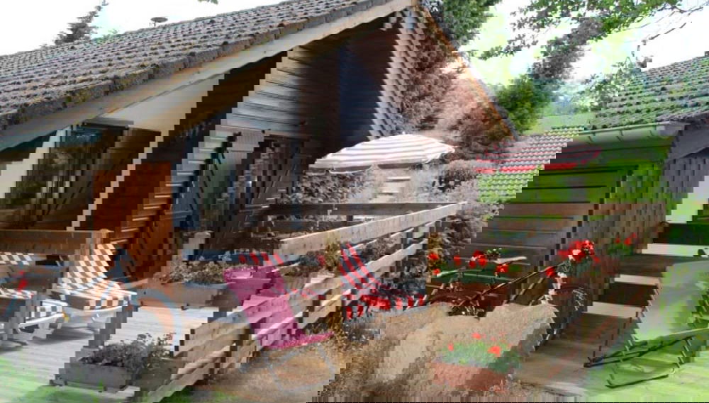 Imagem principal