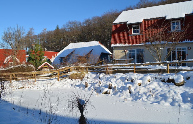 Holiday Home in Wernigerode With a Shared Pool - Foto 56