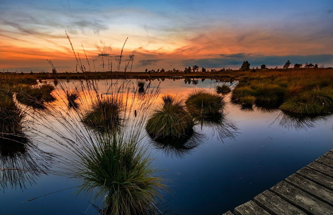 Spacious Holiday Home in Chodes With Sauna - Foto 79