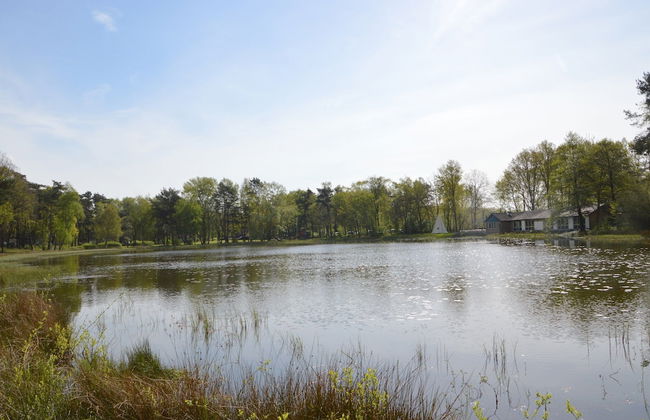 Bungalow in Limburg Near Nature Reserves - Foto 35