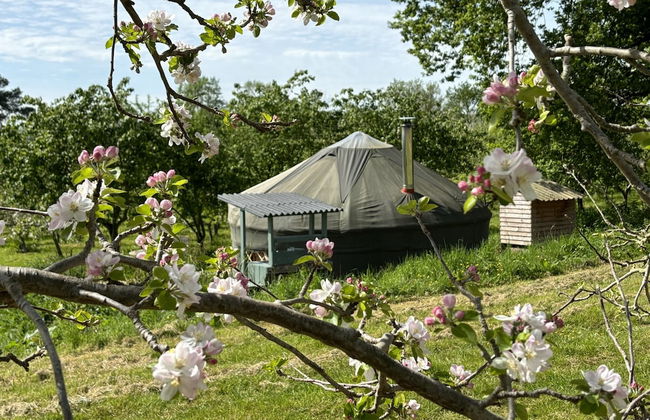 Dragon Orchard Retreat - Foto 32