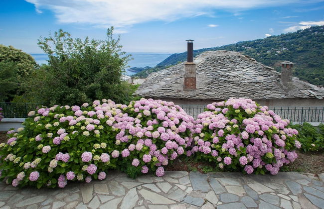 Villa Zina Studio 3 Pelion - Foto 8