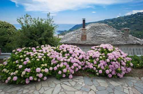 Foto 8 - Villa Zina Studio 3 Pelion