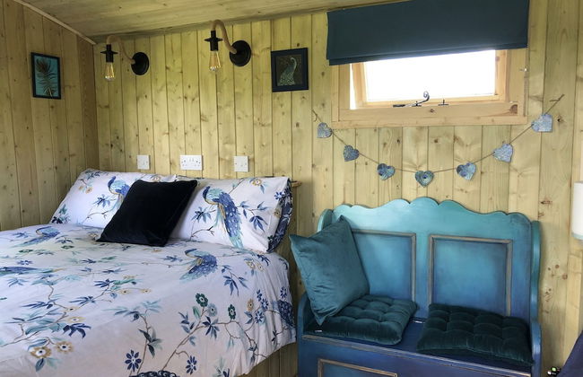 The Peacock Shepherds Hut at Hafoty Boeth - Foto 3