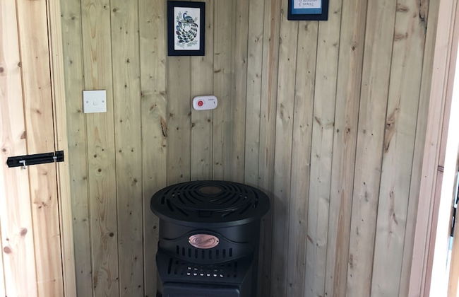 The Peacock Shepherds Hut at Hafoty Boeth - Foto 17