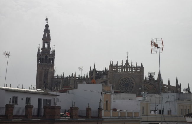 Apartamentos Terrazas de la Catedral - Foto 50