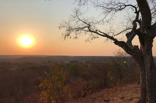 Foto 8 - Bungalow 2 on This World Renowned Eco Site 40 Minutes From Vic Falls Fully Catered Stay - 1982