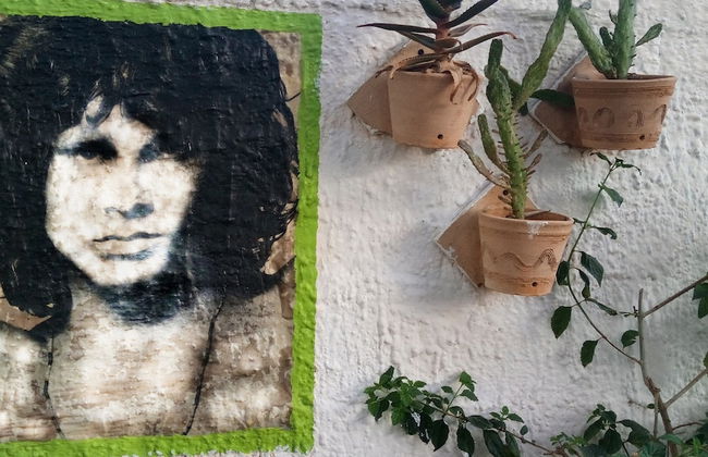 Zagara di Sicilia - Foto 63