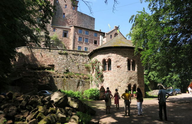 Palatinate Forest Comfortable Holiday Residence - Foto 6