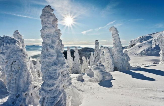 Mountain Apartment in Bad Kotzting - Foto 7
